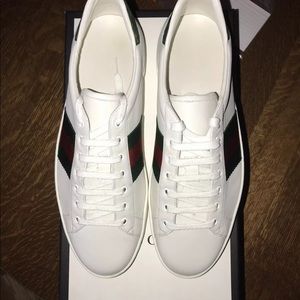 Gucci ace new sneakers